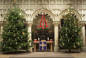 Geschmückte Weihnachtsbäume im Schleswiger St. Petri-Dom